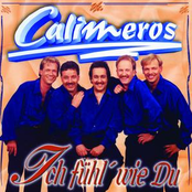 Ich Tu Alles by Calimeros