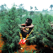 peter tosh