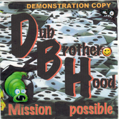 Dub Brother Hood