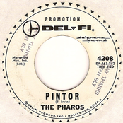 the pharos