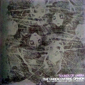 Undercovering Opinion