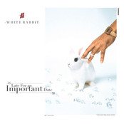 Jay Ant: White Rabbit