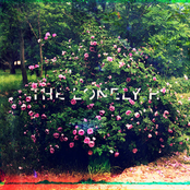 The Lonely H
