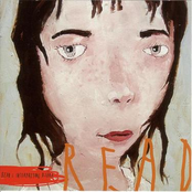 Read: Interpreting Bjork