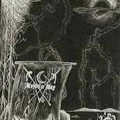 Contos da Empalação