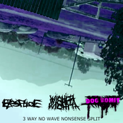 3 WAY NO WAVE NONSENSE SPLIT