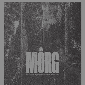 Grand Declaration of Wall