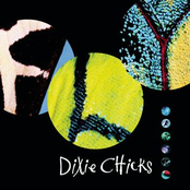 Dixie Chicks: Fly