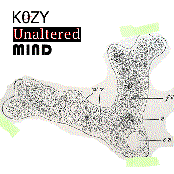 Unaltered Mind Single