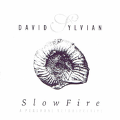 Every Colour You Are by David Sylvian