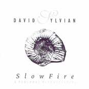 20th Century Dreaming by David Sylvian