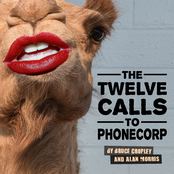 The Twelve Calls To PhoneCorp