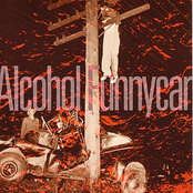 Snapping The Straw by Alcohol Funnycar