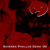 Severed Phallus Demo '20