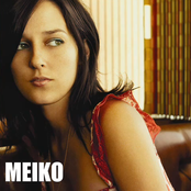 Reasons To Love You by Meiko