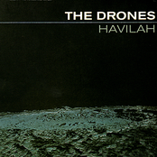 Oh My by The Drones