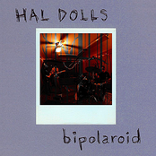 Bipolaroid