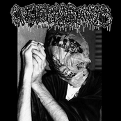 split with Archagathus