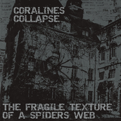 The Fragile Texture of a Spider's Web (Remastered)