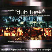 Roots Of Dub Funk 1