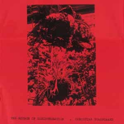 The Source of Disintegration LP