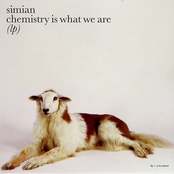 How Could I Be Right by Simian