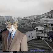 THE VIRTUAL PAVILION PRESENTS: セルフポートレートPNG