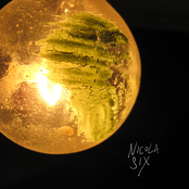 Pomadig: A Demonstration