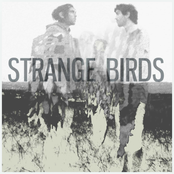 Strange Birds EP