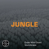 JUNGLE (Sleep Soundscape)