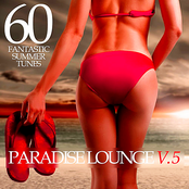Paradise Lounge V.5: 60 Fantastic Summer Tunes