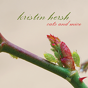 Introduction by Kristin Hersh