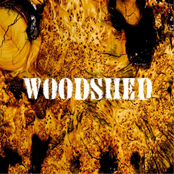 Woodshed: Woodshed