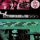 Select Cuts From Blood & Fire