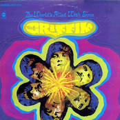 The World's Filled With Love