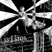 in the name of justice