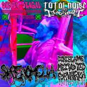 Steven Seagal / Dbmivfv / Sirenomelia / Total Noise Mayhem