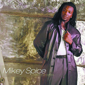 Yes Mi Friend by Mikey Spice