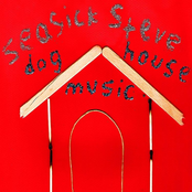 Dog House Boogie by Seasick Steve