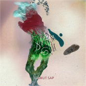 Gamut Sap
