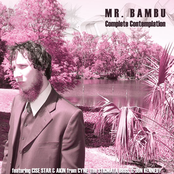 mr. bambu