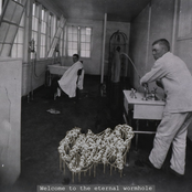 Welcome to the eternal wormhole