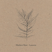 Lamorna Valley by Matthew Shaw