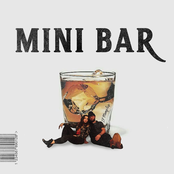 Mini Bar