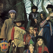 the incredible string band