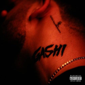 Gashi: My Year