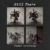 Flower Continuity - EP
