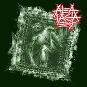 split 7" with Rageous Intent