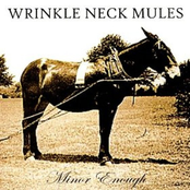 Wandering Valley Prelude by Wrinkle Neck Mules