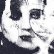 Don't Believe Your Lying Eyes